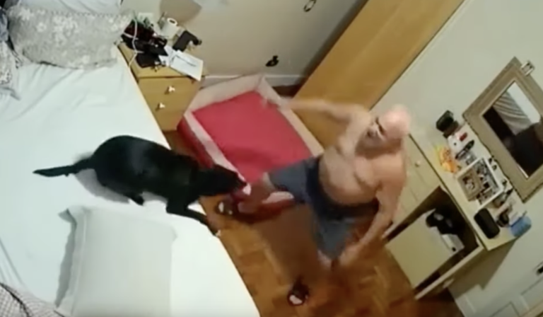 Mannens kone gikk bort og han ble deprimert – så ga de han en lyhund